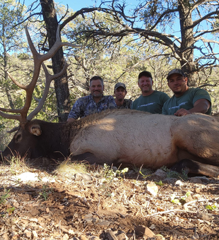 Elevate Your Hunt in New Mexico
